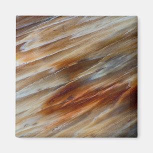 Gegriefd versteend hout magneet