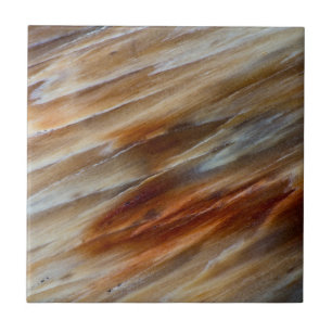 Gegriefd versteend hout tegeltje