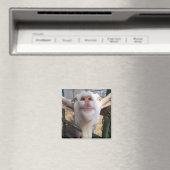 Gehakt Magneet (Insitu (Vaatwasser))