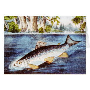 Gehakte Forel - Vintage Fijne Kunst