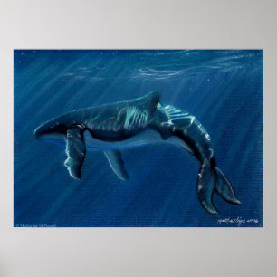 Geharmoniseerde Humpback Whale Canvas Print