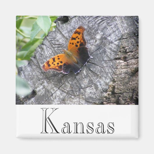 Gehavende schoonheid magneet (Voorkant)