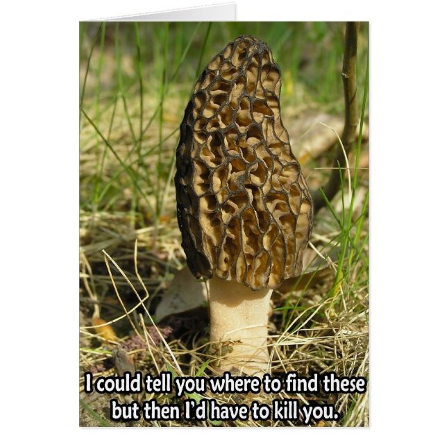 Geheim van de Morel Hunter (Voorkant)