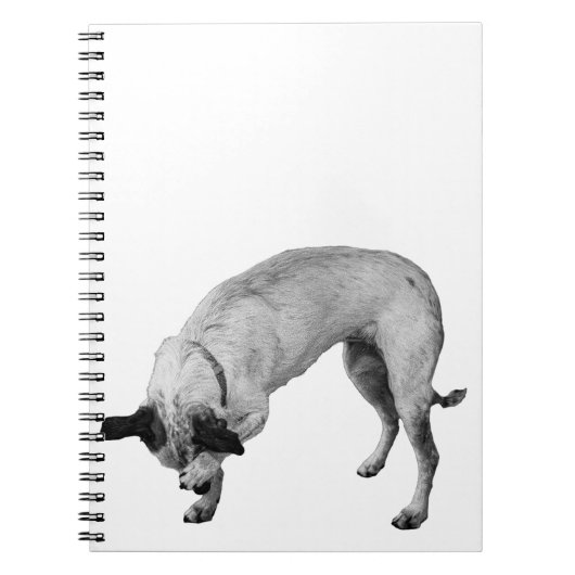 Geheime Lijsten Terrier Notitieboek (Voorkant)