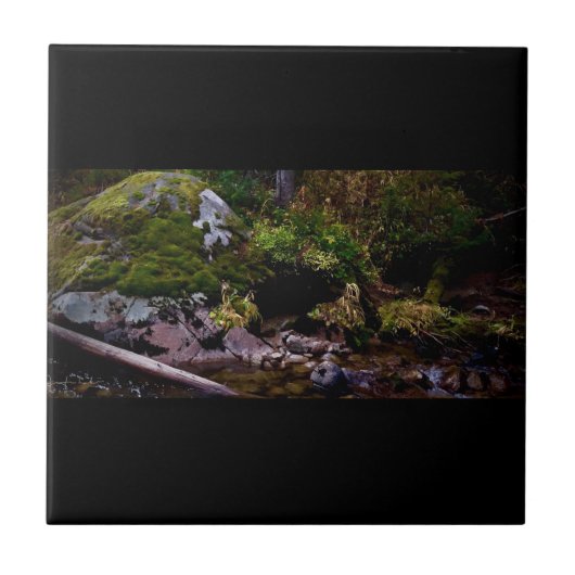 Geheime plaats tegeltje (Voorkant)