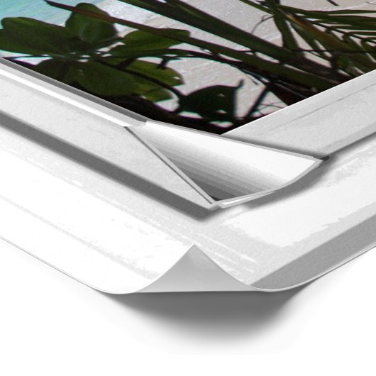 Geheime tropische kever-Uitzicht-foutvenster met l Poster (Hoek)