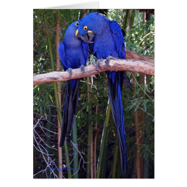 Geheimen delen (Voorkant)