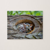 Geheimen van de Owl's Tree Trunk Residence Legpuzzel (Horizontaal)