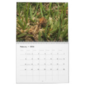 Geheimen van een tuinspin kalender (Feb 2026)