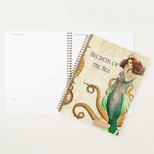 Geheimen van het Zee Zeemeermin Planner (Display)