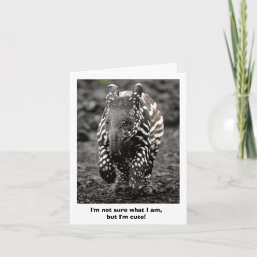 Geheimzinnigheid Critter Kaart (Voorkant)