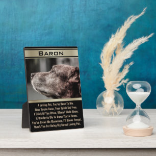 Geheugen van een verloren pakket fotoplaat