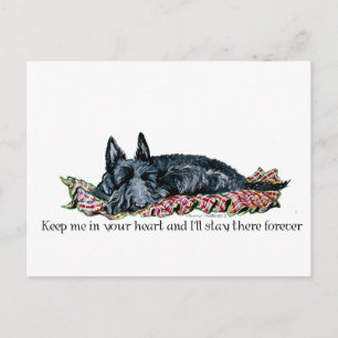 Geheugen van Scottish Terrier Briefkaart