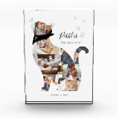 Geheugenkat Foto Collage Pet Memorial (Voorkant)