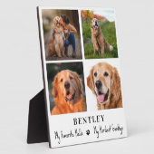 Geheugensympathie voor gezelschapsdieren Aangepast Fotoplaat (Zijkant)