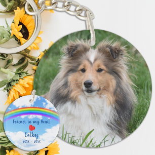 Geheugenverlies Pet Dog Memorial Rainbow Sleutelhanger