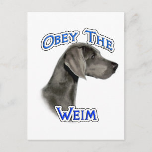 Gehoorzaam de Weimaraner Briefkaart