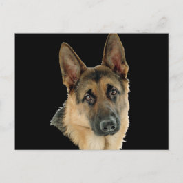 Gehouden van & Beschermd door een Duitse herder Briefkaart