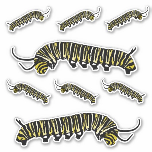 Geïllustreerde Monarch Vlinder Caterpillar Sticker (Voorkant)