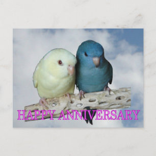 Geïneerde parkiet Paar Briefkaart
