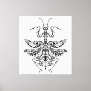 Geïnspireerd Bidden Mantis 6 Canvas Afdruk
