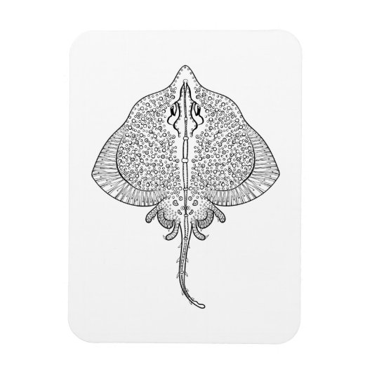 Geïnspireerd stereostemapparaat magneet (Verticaal)