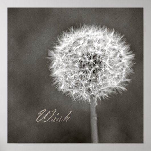 Geïnspireerd Wish Dandelion Poster (Voorkant)