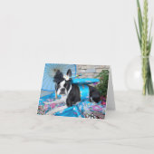 Geisha Lola B. Boston - CARTE VIERGE (Devant)