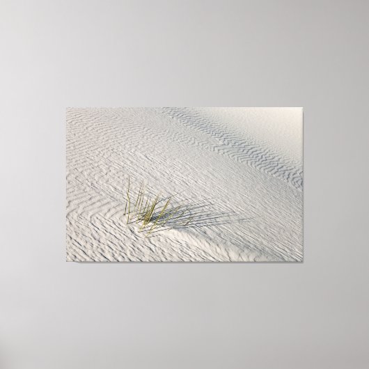 geïsoleerd canvas afdruk (Voorkant)