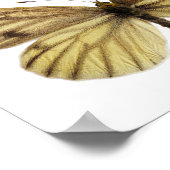 Geïsoleerd van groen geaderde witte vlindervlieg b poster (Hoek)