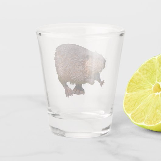 Geïsoleerd van Noord-Amerikaanse bever Shot Glas (Achterkant)
