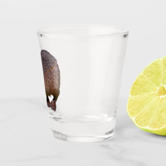 Geïsoleerd van Noord-Amerikaanse bever Shot Glas (Rechts)