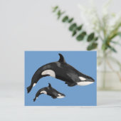 Geïsoleerde dodelijke walvis briefkaart (Staand voorkant)