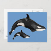 Geïsoleerde dodelijke walvis briefkaart (Voorkant / Achterkant)