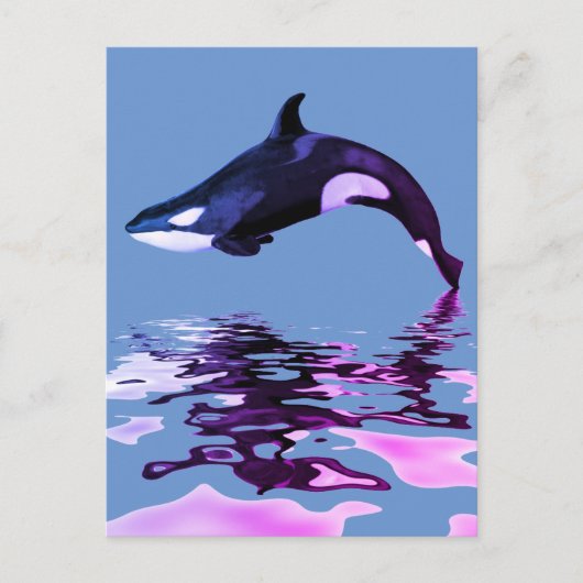 Geïsoleerde dodelijke walvis met reflectie briefkaart (Voorkant)