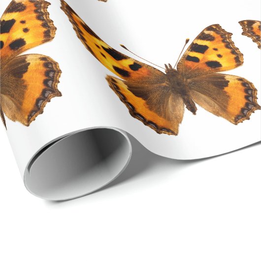 Geïsoleerde kleine tortoiseshel vlinder cadeaupapier (Rol Hoek)