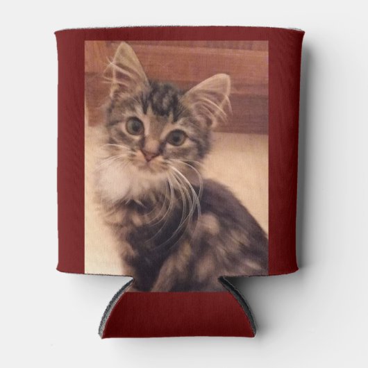 Geïsoleerde Koelbox katten Kittens Katten Blikjeskoeler (Voorkant)