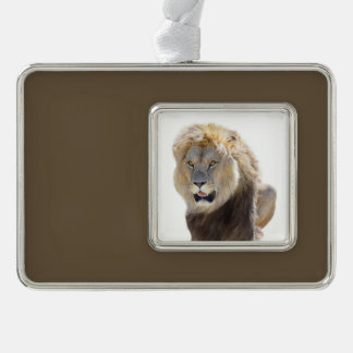 Geïsoleerde leeuw die je tong uitsteekt verzilverd kader ornament