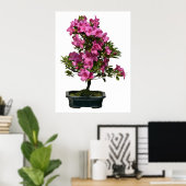 Geïsoleerde opgeblazen bonsai rhododendron poster (Thuiskantoor)