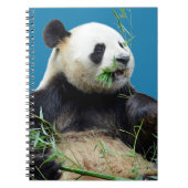Geïsoleerde reuzenpanda die bamboe eet notitieboek (Voorkant)