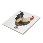 Geïsoleerde rooster tegeltje (Zijkant)