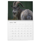 Geit 2025 kalender (Jan 2027)