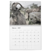 Geit 2025 kalender (Feb 2027)