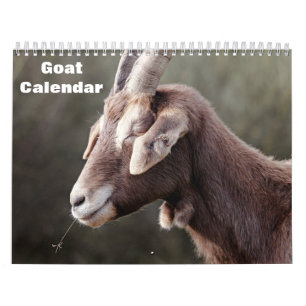 Geit 2026 kalender