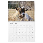 Geit 2026 kalender (Jan 2027)