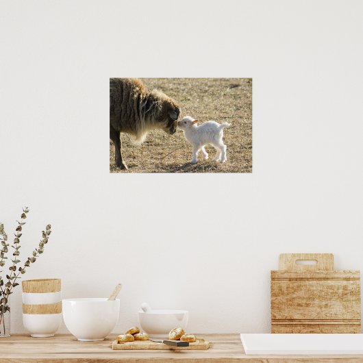 Geit en haar Baby Print (Keuken)