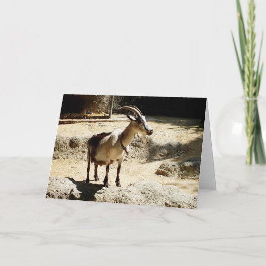 Geit Feestdagen Kaart (Voorkant)