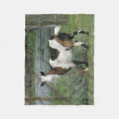 geit fleece deken (Voorkant)