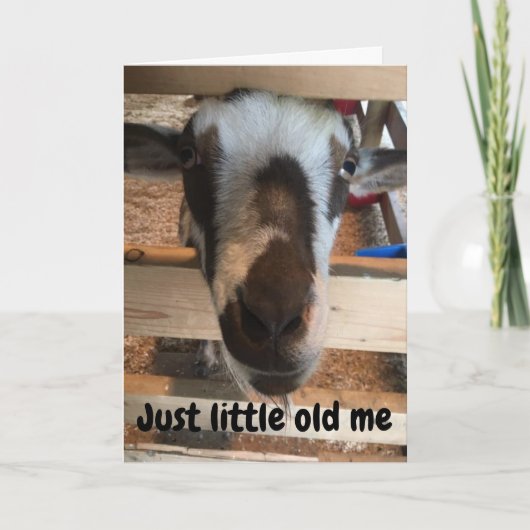 GEIT MAAKT GRAPPEN OVER U OP UW **40e** VERJAARDAG Kaart (Voorkant)