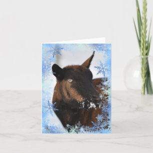 Geit met een besneeuwde neus kerstkaart feestdagen kaart
